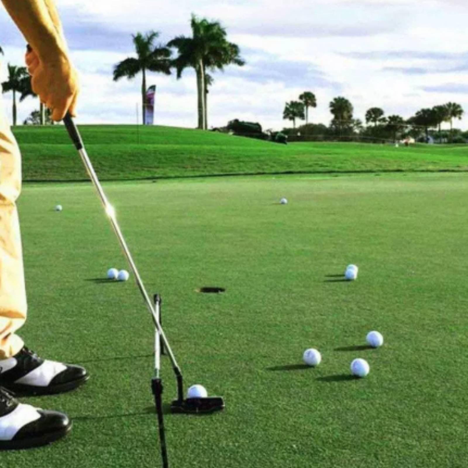 Golf Swing Practice Auxiliary  - Practice Equipment For Golf recension och pris